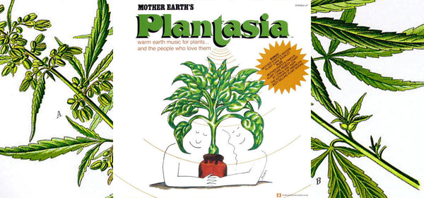 Plant Sounds: Sacred Bones Records Reissues PLANTASIA Album